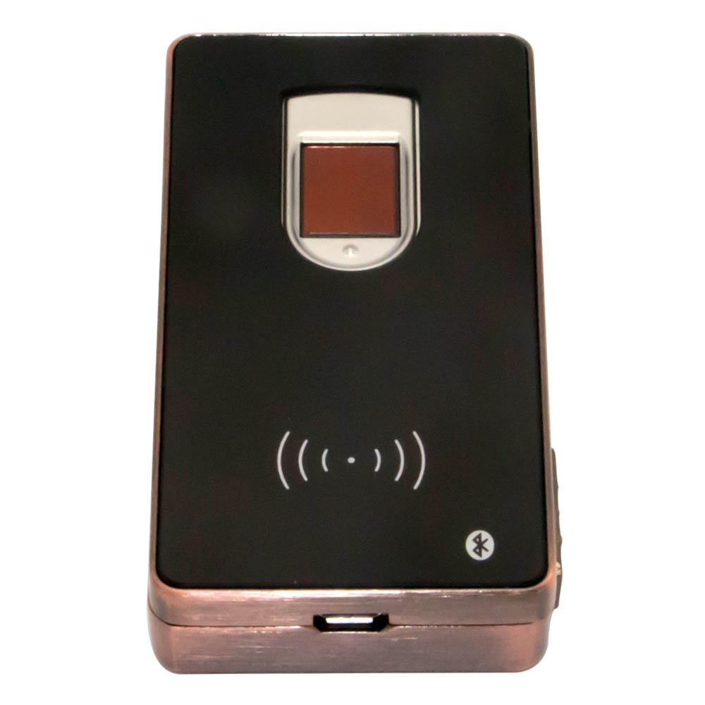 Lecteur Rfid d'authentification d'empreintes digitales biométrique Bluetooth portable sans fil
