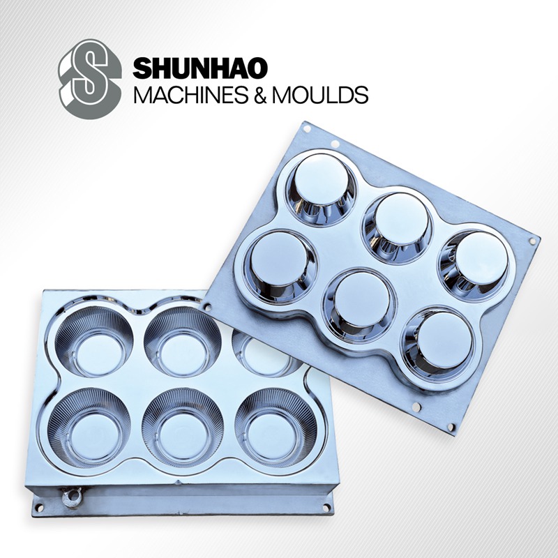 Moules à compression en mélamine de marque Shunhao
