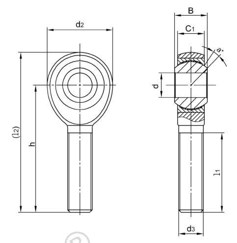 Embouts de tige en acier inoxydable Taille américaine SJM4T