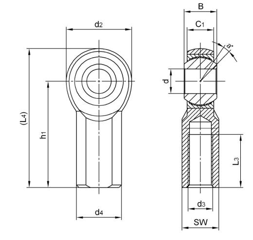 Embouts de tige en acier inoxydable SJF12T