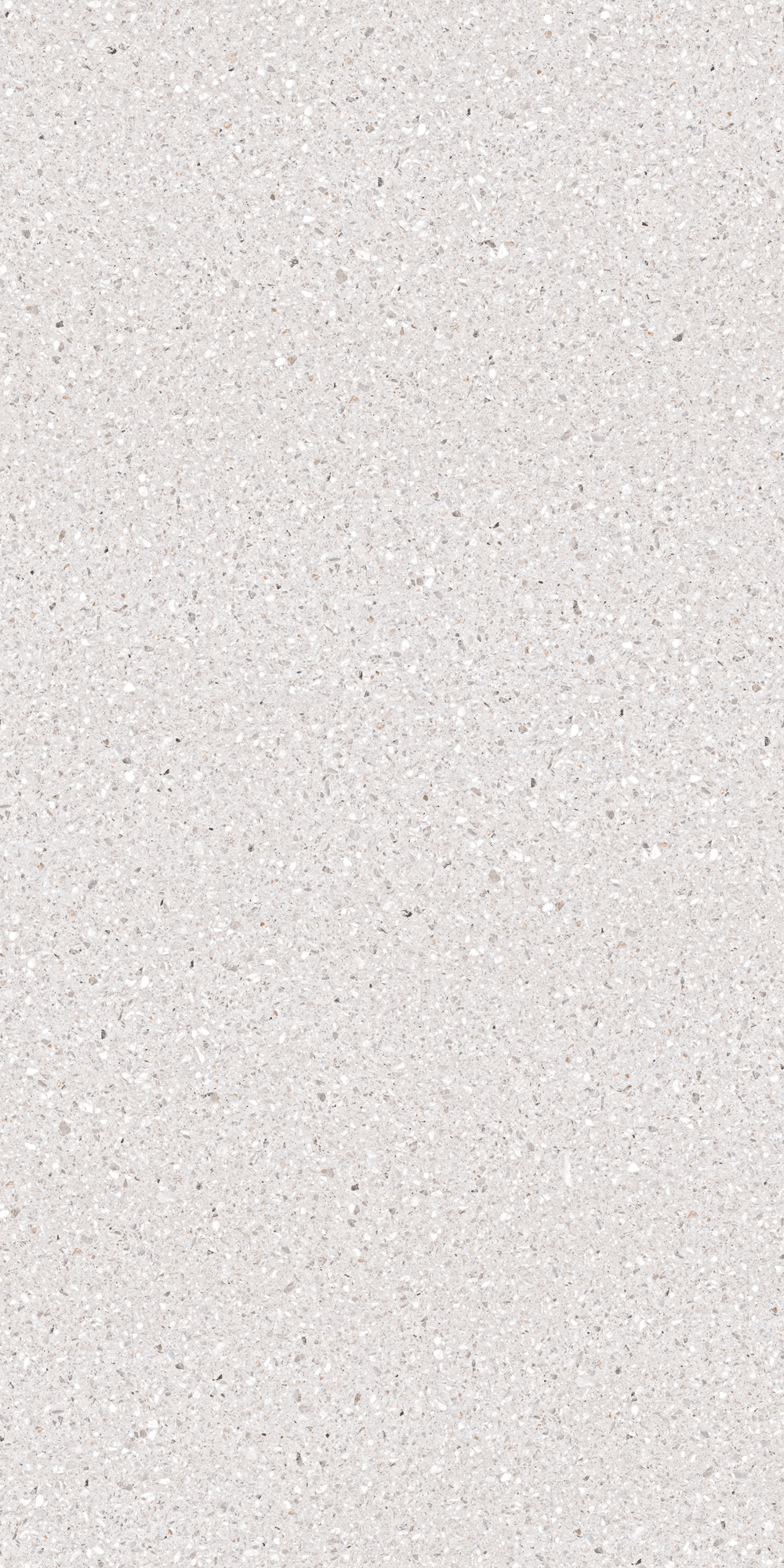 Dalles de porcelaine en pierre frittée Terrazzo blanc 320x160
