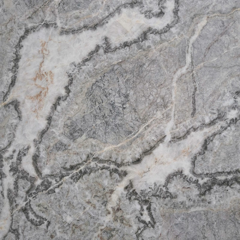 Dalle de marbre gris italien Fior di Pesco Carnico Marmo
