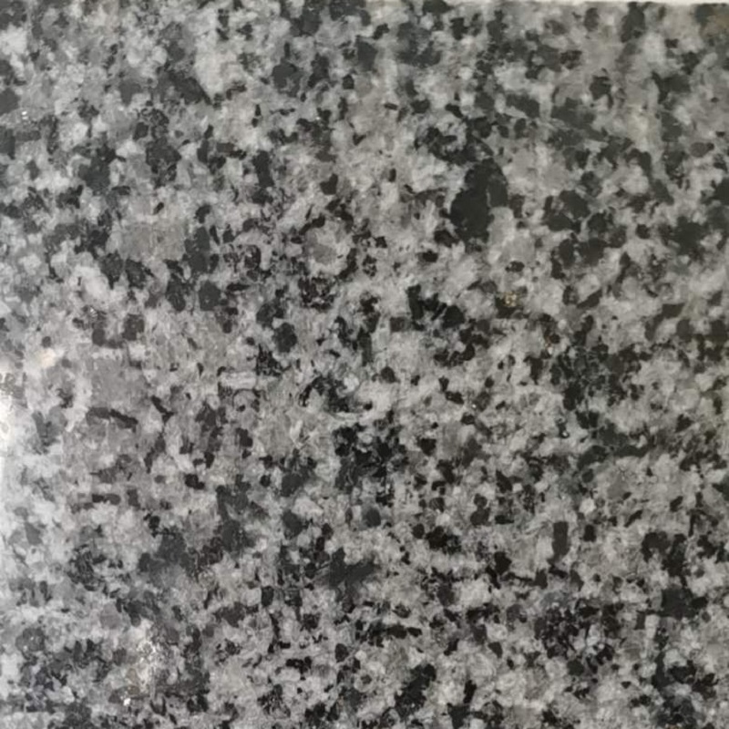 Nouveaux carreaux de pierre de granit gris G654
