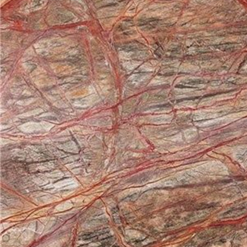 Dalle de marbre brun-rouge de la forêt tropicale indienne
